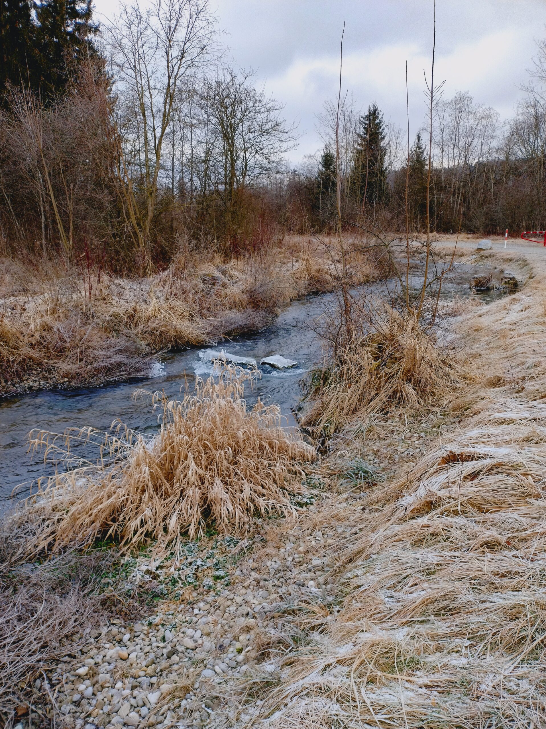 IMG_20250113_113757238_HDR Kopie